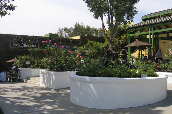 603 South Lake Ave courtyard